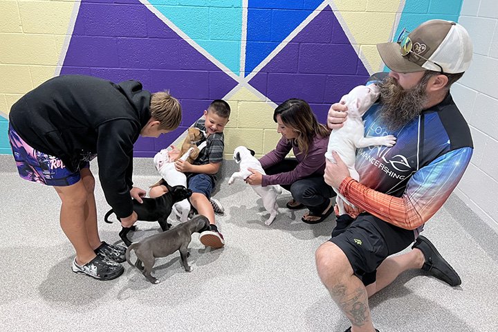 family playing with puppies