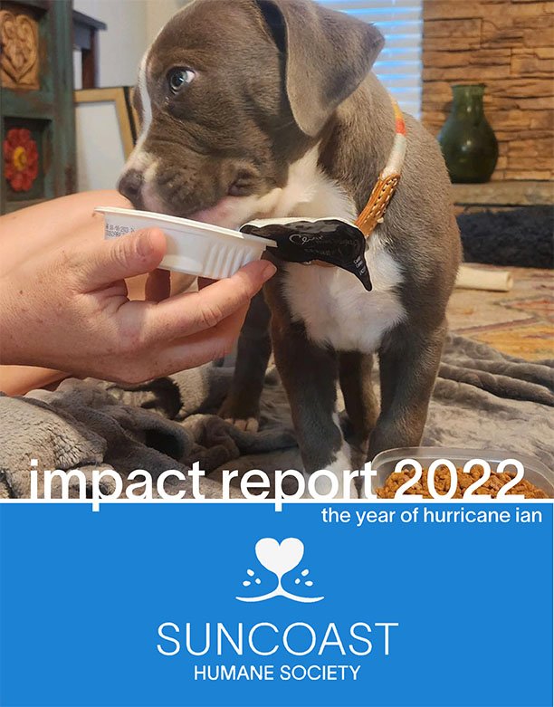 Suncoast Humane Society - Impact Report 2022