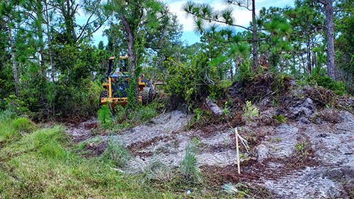 heavy machinery working on an empty lot