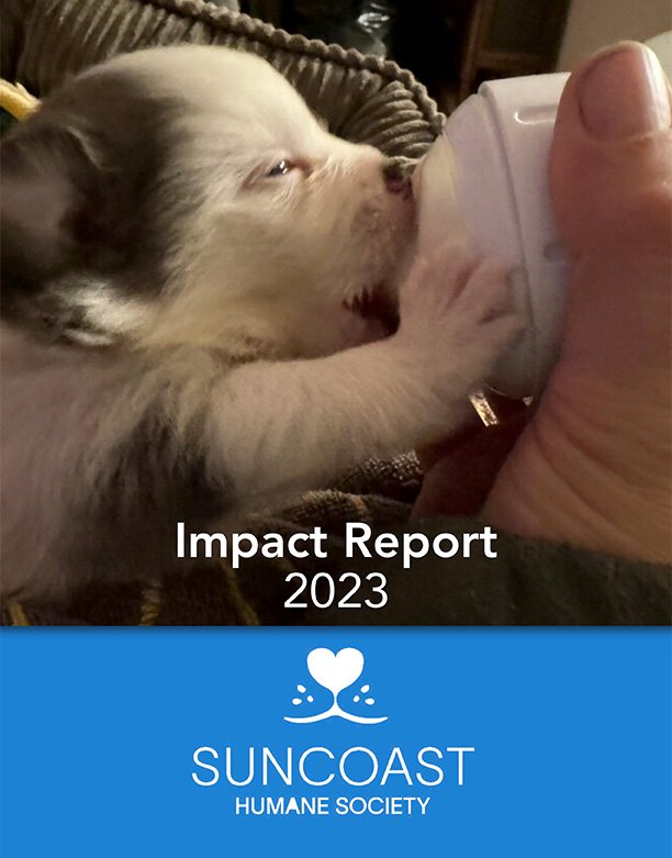 Suncoast Humane Society Impact Report 2023