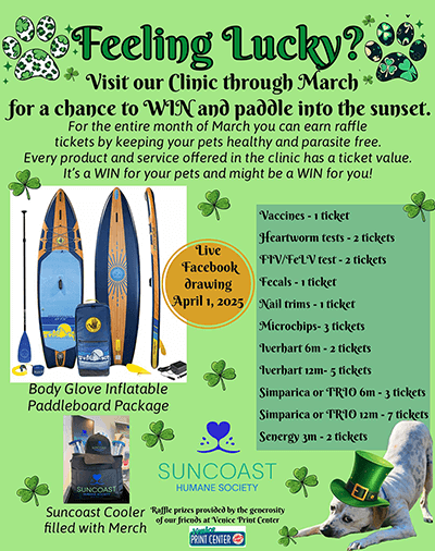 Feeling Lucky? March 2025 Clinic Raffle Flyer