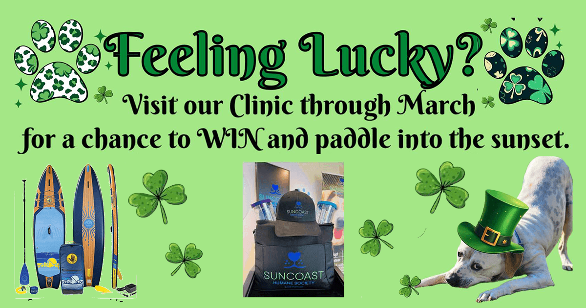 Feeling Lucky? Clinic Raffle and prizes
