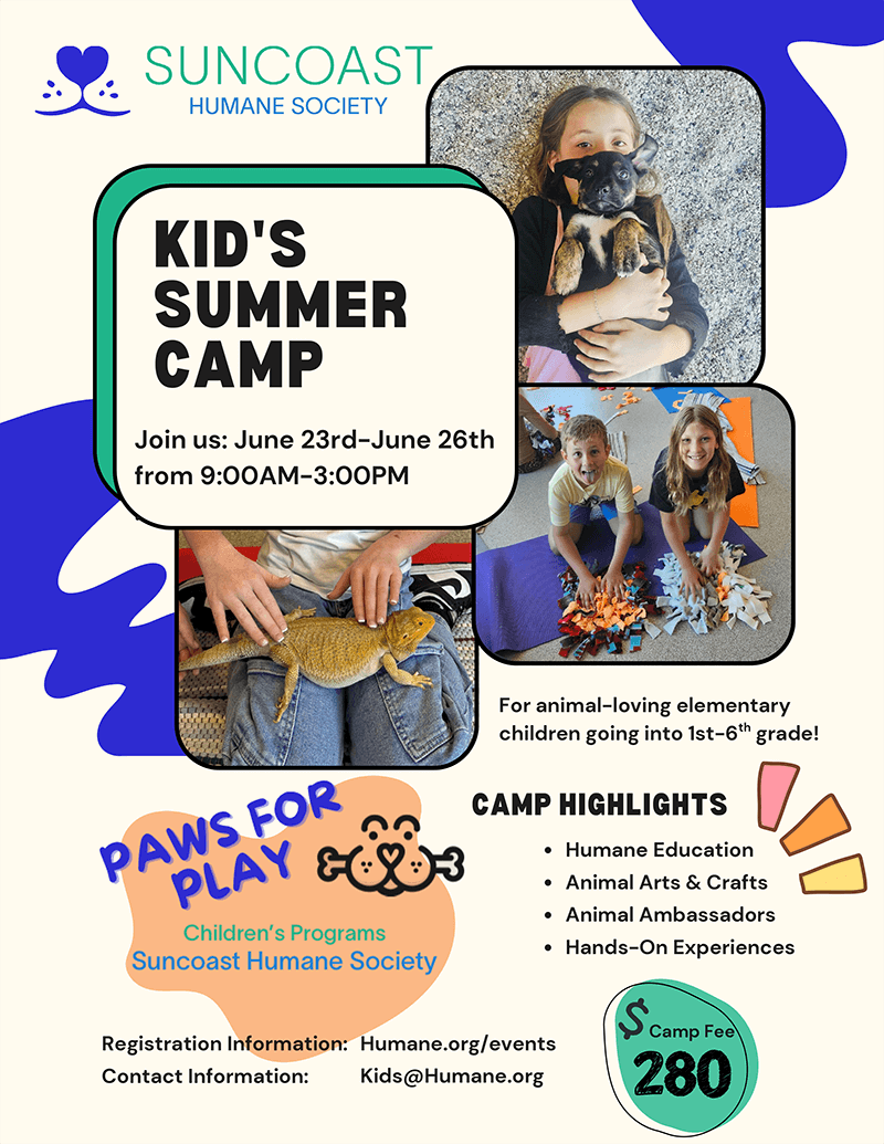Suncoast Humane Society Paws for Play Summer Camp Flyer