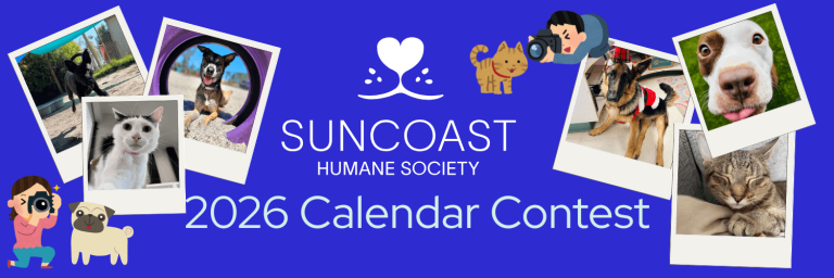 Suncoast Humane Society Calendar Contest