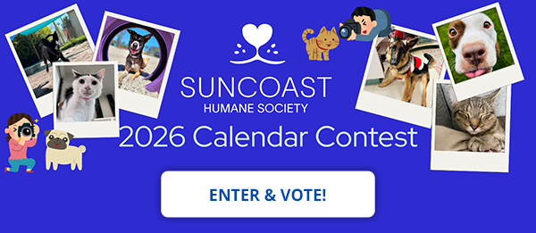 Suncoast Humane Society 2026 Calendar Contest - Enter and Vote!