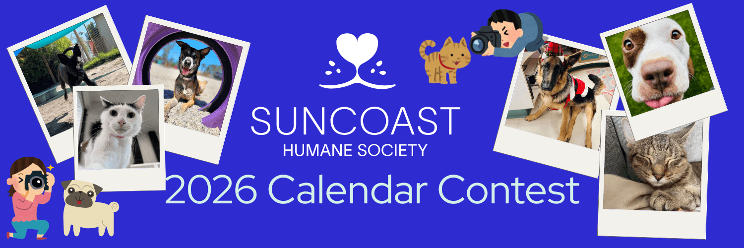 Suncoast Humane Society Calendar Contest