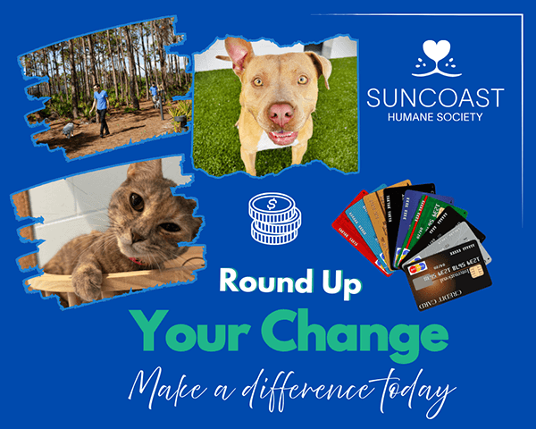 Round up your change - make a difference today!