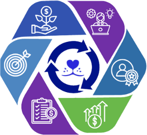 diagram of life stages