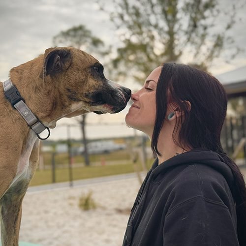 Lizz Briley rubbing noses with a large breed dog